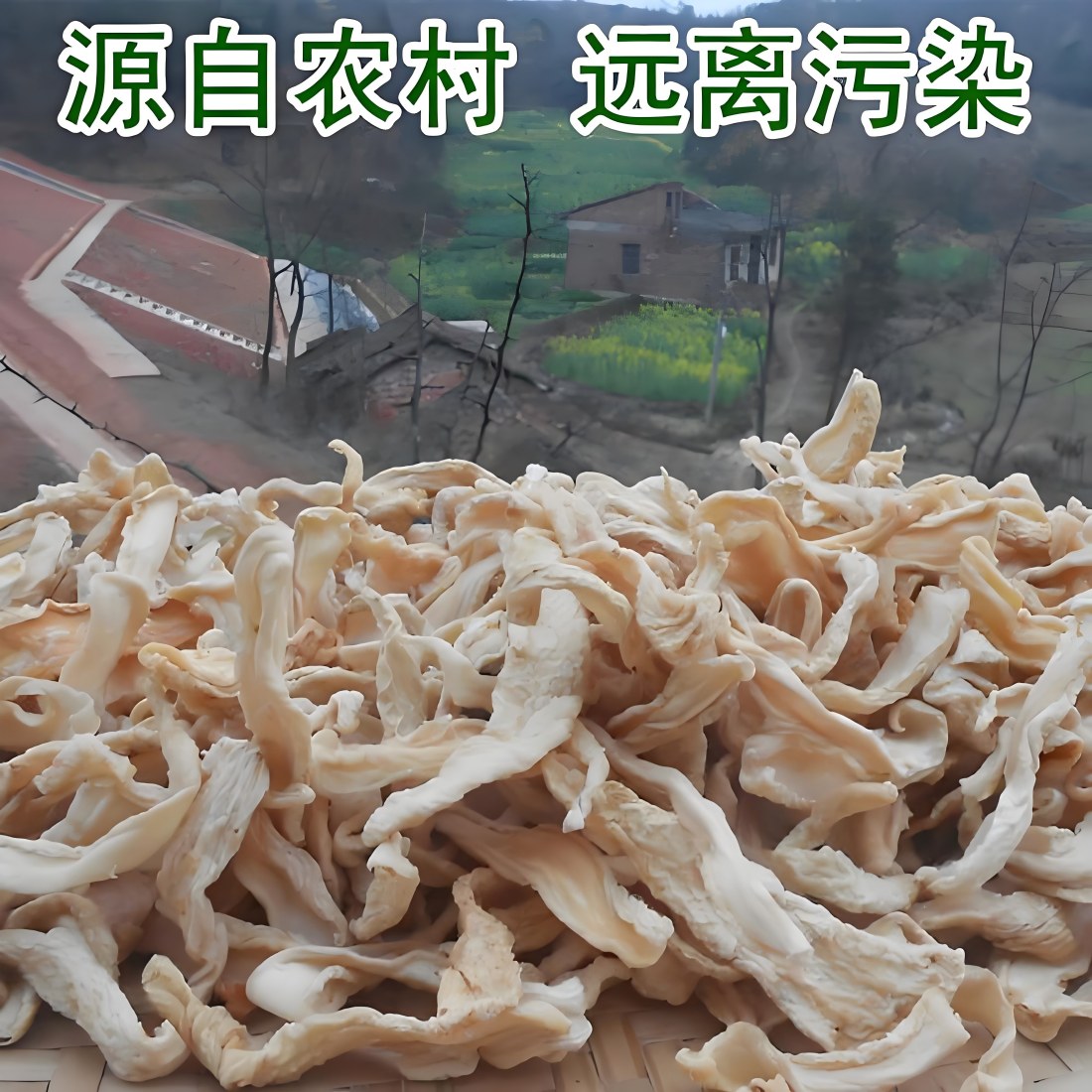 農(nóng)干羅卜皮(絲)